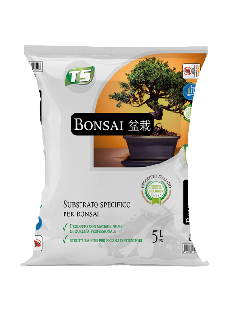 sacco-Bonsai