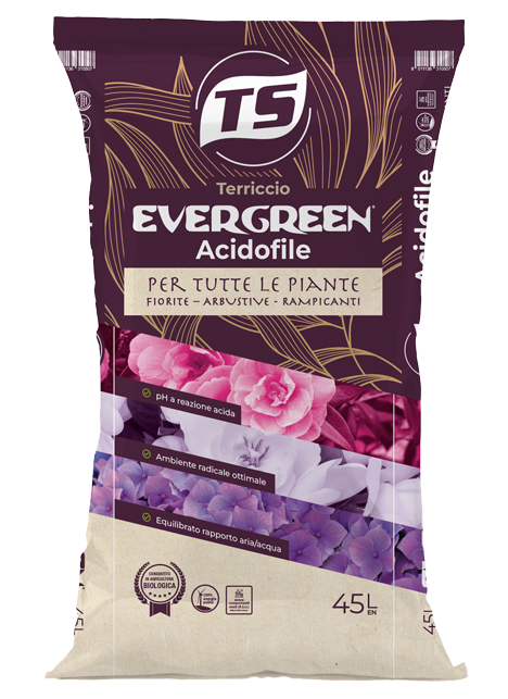 sacco-Evergreen-Acidofile