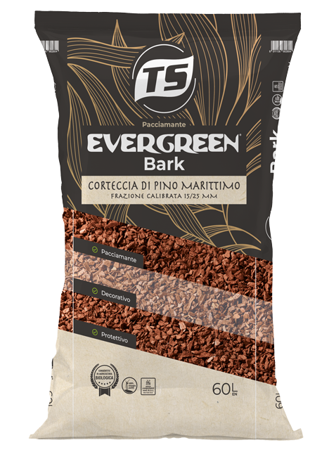 sacco-Evergreen-Bark
