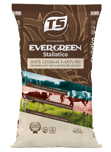 sacco-Evergreen-Stallatico