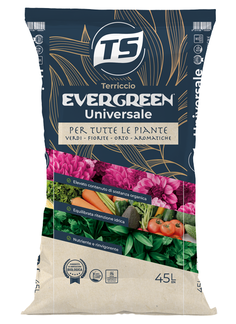 sacco-Evergreen-Universale