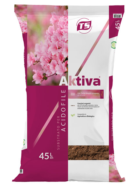 sacco-aktiva-Acidofile