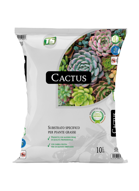 sacco-cactus